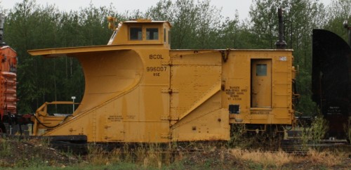 BCOL 996 007