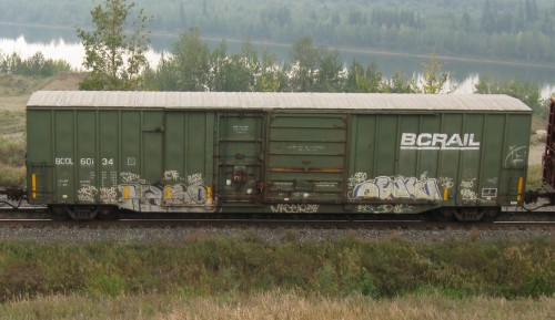 BCOL 60 134