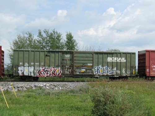 BCOL 60 443