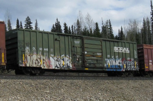 BCOL 60 446