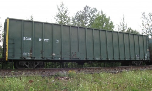 BCOL 91 221