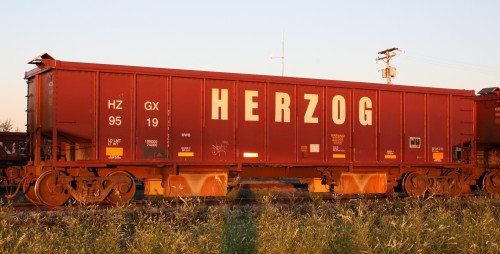 HZGX 9519