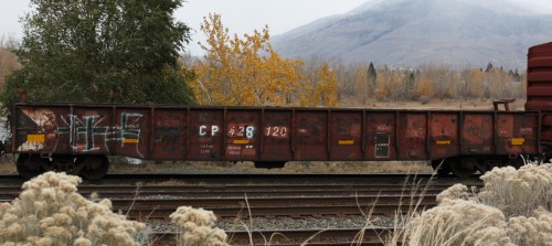 CP 428 120