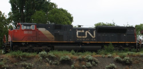 CN 8898