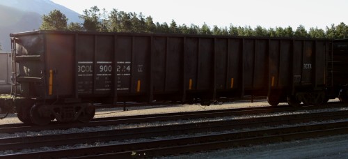 BCOL 900 224