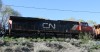 CN 2249