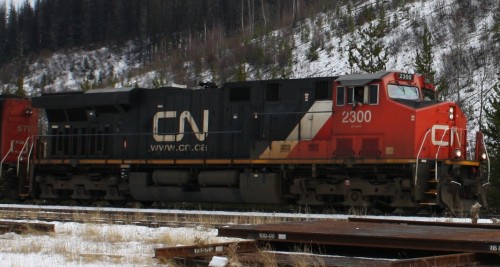 CN 2300
