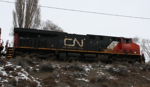 CN 2302