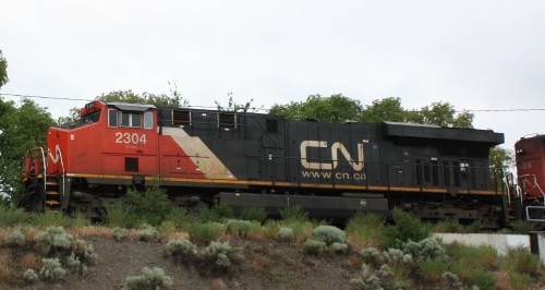CN 2304