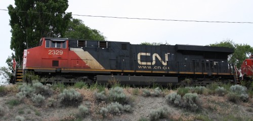 CN 2329