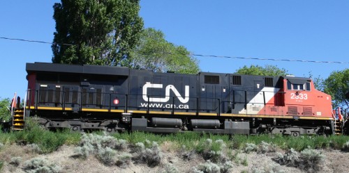 CN 2333