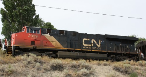 CN 2339