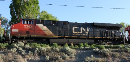 CN 2343
