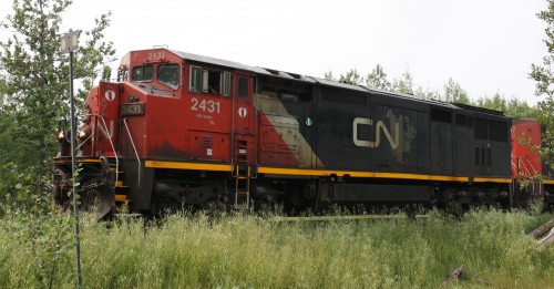 CN 2431