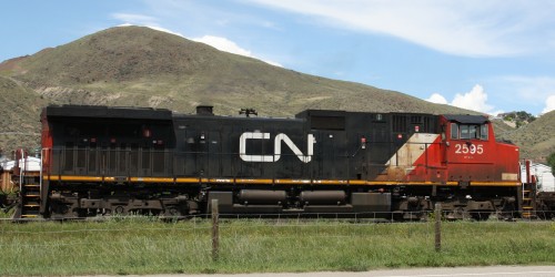 CN 2595