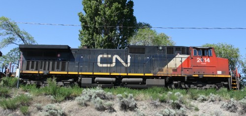 CN 2614