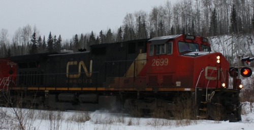 CN 2699