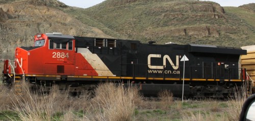 CN 2884