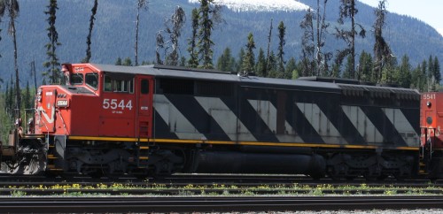CN 5544