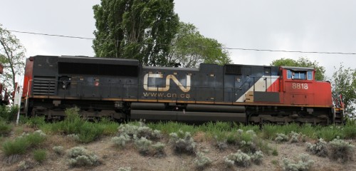 CN 8818