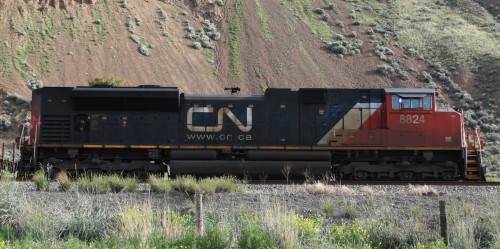 CN 8824