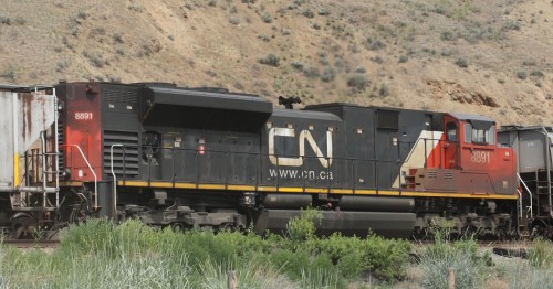 CN 8891