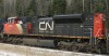 CN 8896