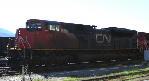 CN 8907