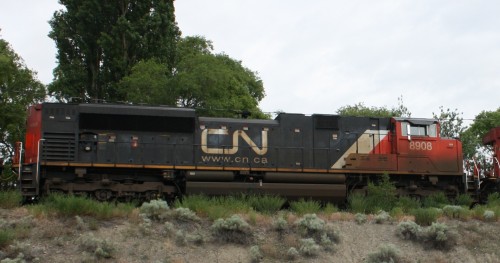 CN 8908