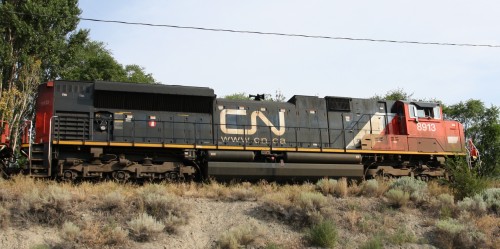 CN 8913