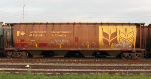 CN 101 194