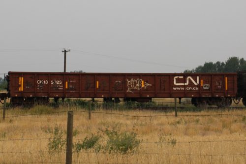 CN 135 023