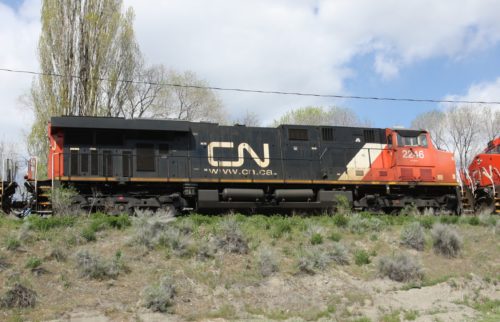 CN 2246