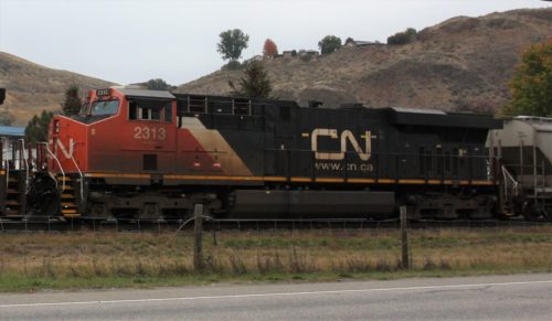 CN 2313