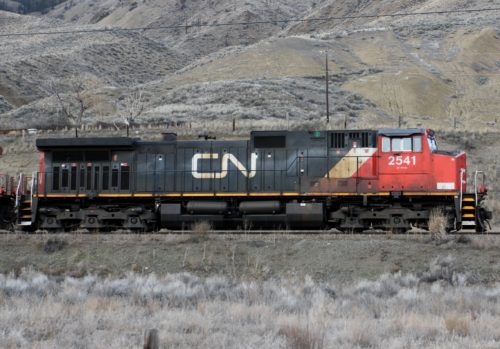 CN 2541