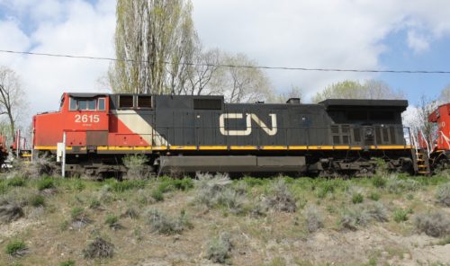 CN 2615