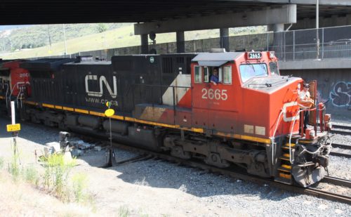 CN 2665