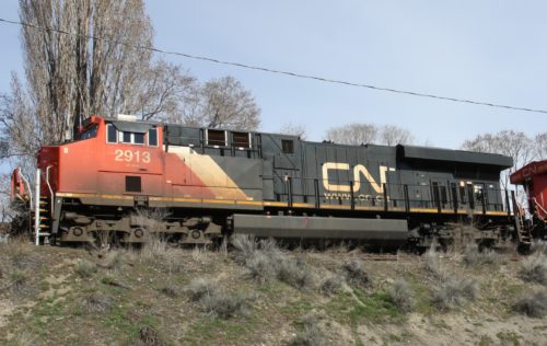 CN 2913