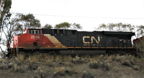 CN 2956