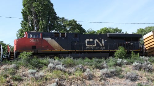CN 2963