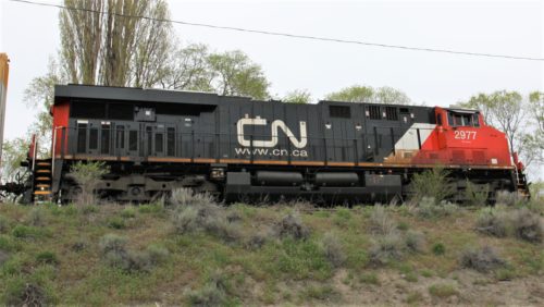 CN 2977