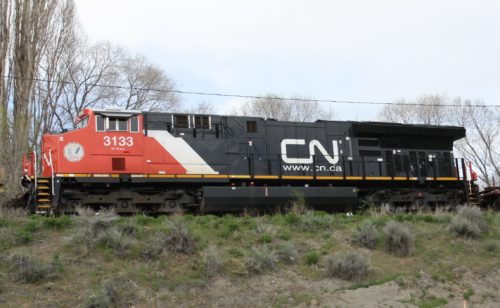 CN 3133