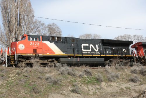 CN 3173