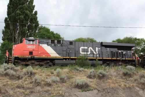 CN 3802