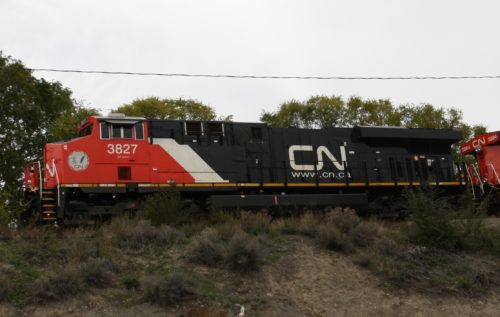 CN 3827