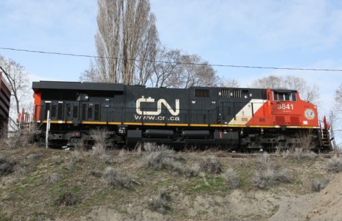 CN 3841