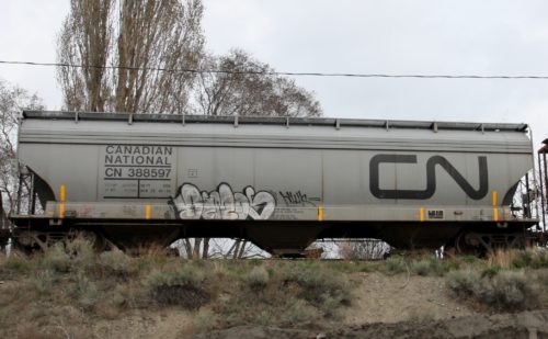 CN 388 597