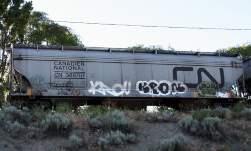 CN 388 707