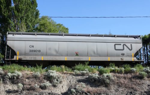 CN 389 018