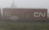 CN 558 156